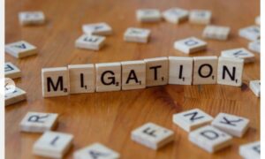 Migation